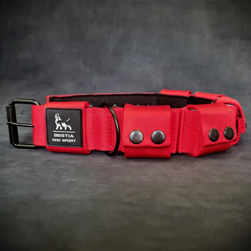Weighted Dog Training Collar (Red)