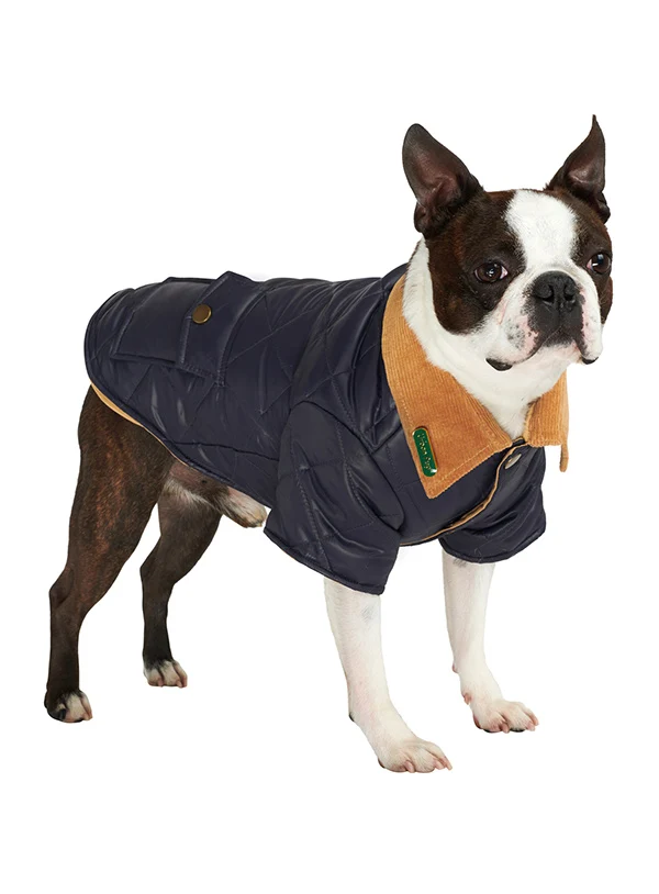 Quiltad Hundjacka - Navy Blue