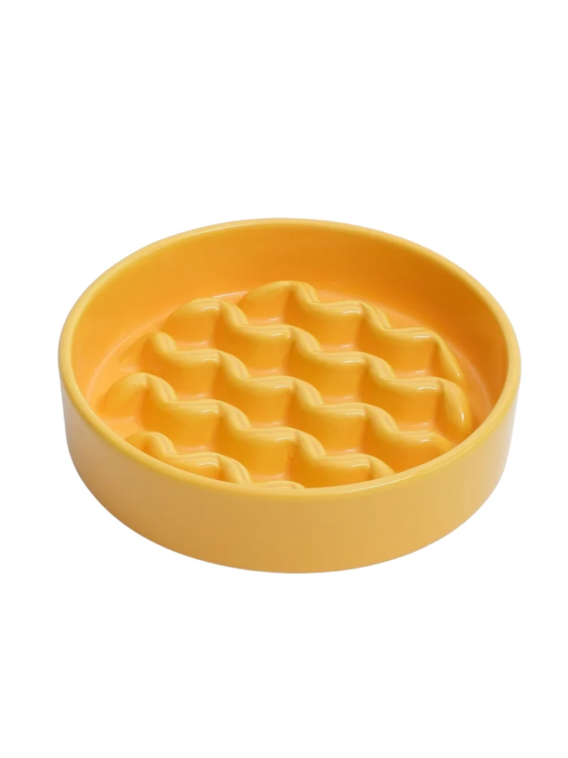 Slow Feeder Dog Bowl
