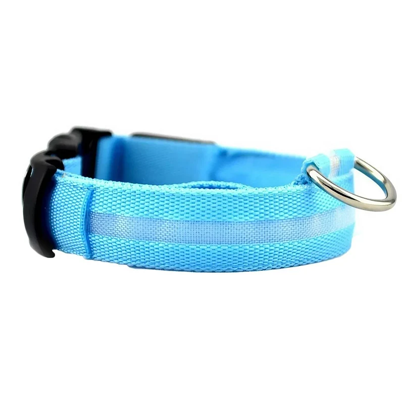 Hundhalsband med ljus och reflex - synlighet i mörkret