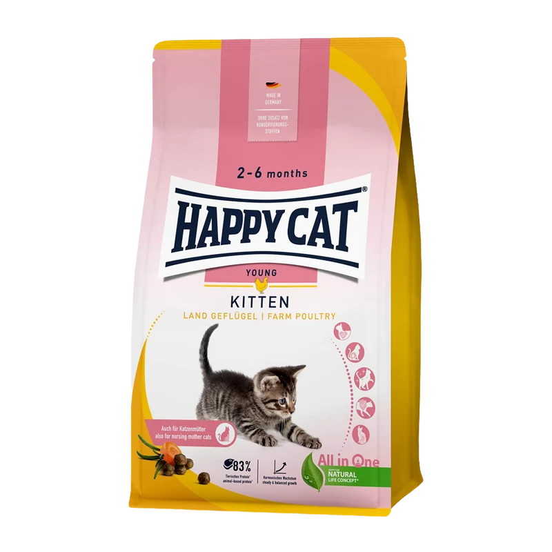 Happy Cat Kitten Fågel