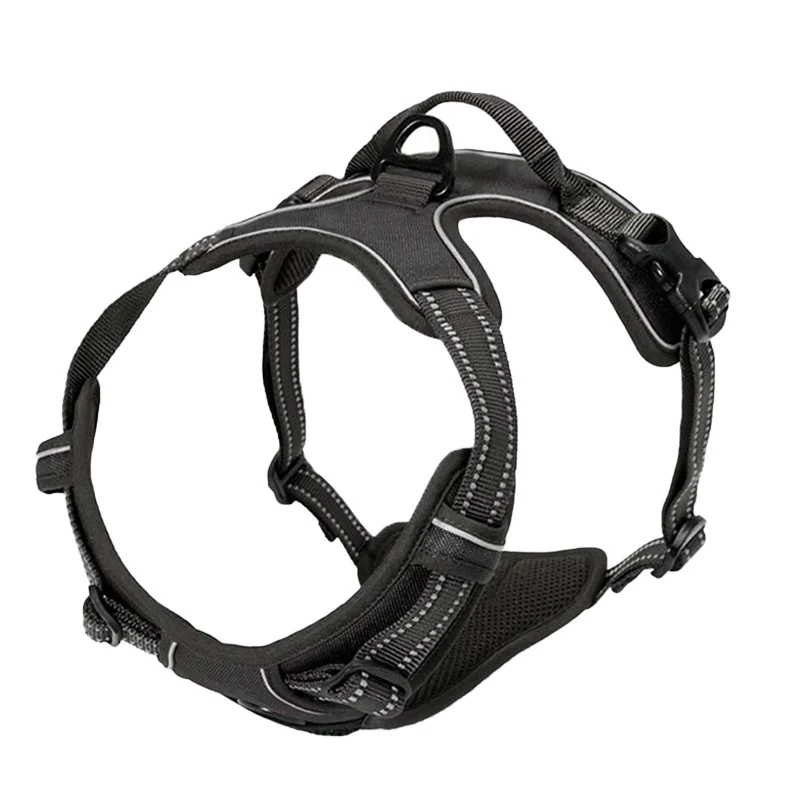 Hundsele för bil och promenad - reflex, bekväm, slitstark