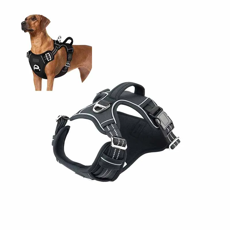 Hundsele med anti-drag funktion – justerbar & reflex