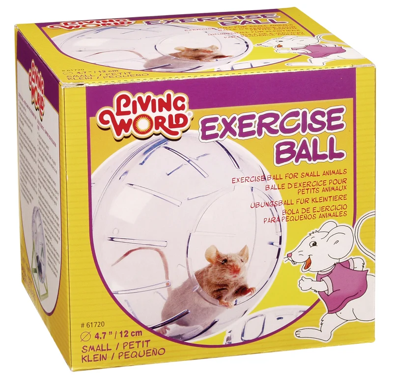 Living World Balle Exercice avec Support, Petit