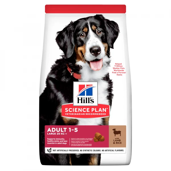 Hill's Science Plan Adult Large med lamm och ris 12 kg för hundar