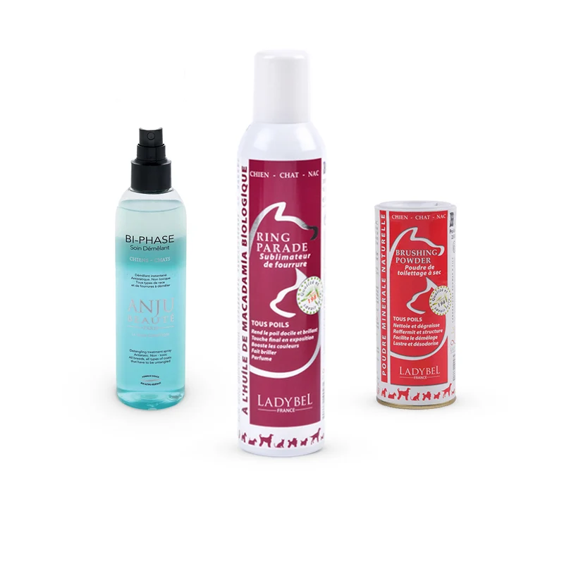 Persian & Ragdoll Final Polish