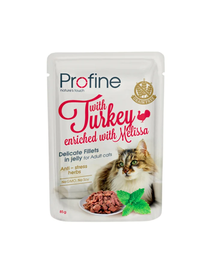 Cat Fillets in Jelly with Turkey