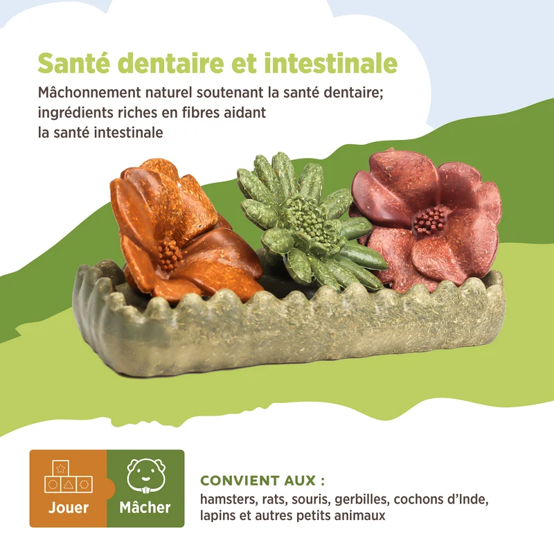 Jouet à mâcher comestible Living World, Lit de fleurs, multicolore, 150 g (5,2 oz)