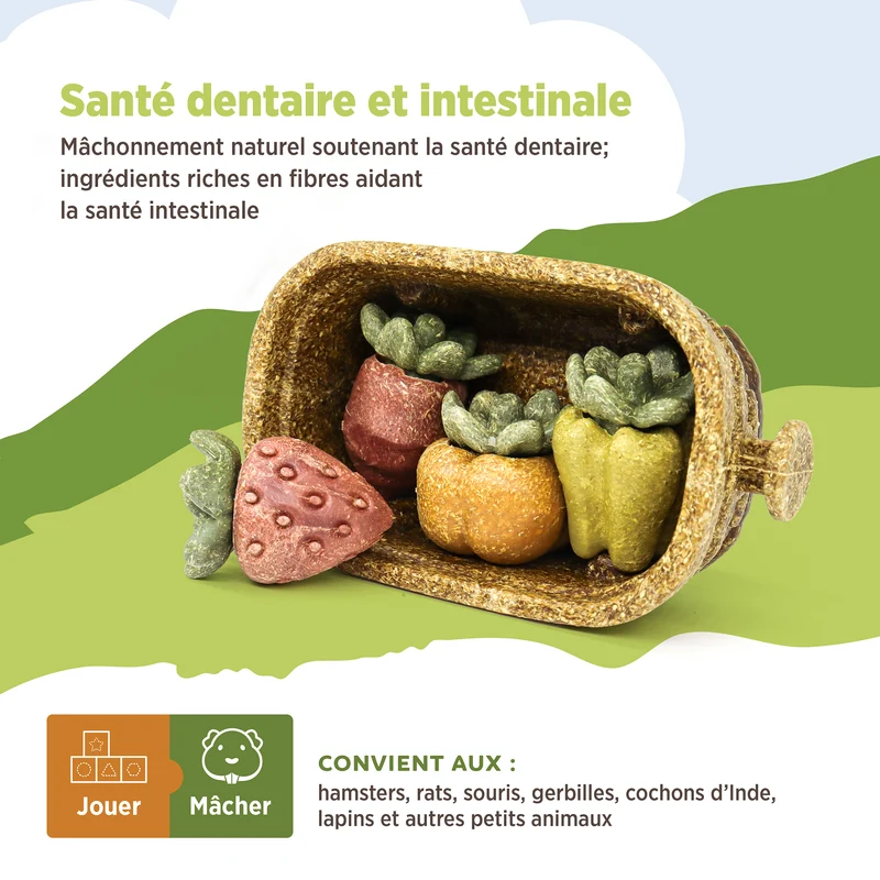 Jouet à mâcher comestible Living World, Panier de récolte, multicolore, 158 g (5,5 oz)