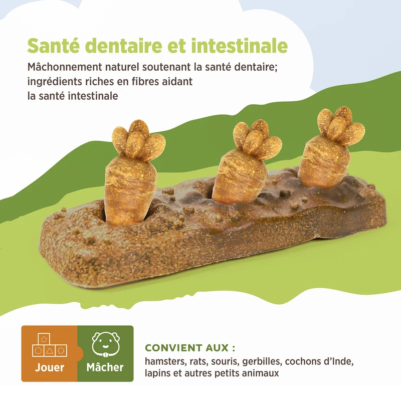 Jouet à mâcher comestible Living World, Lit de carottes, multicolore, 140 g (4,9 oz)