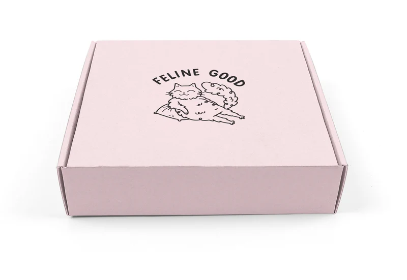 Cat Toys & Treats Surprise Box