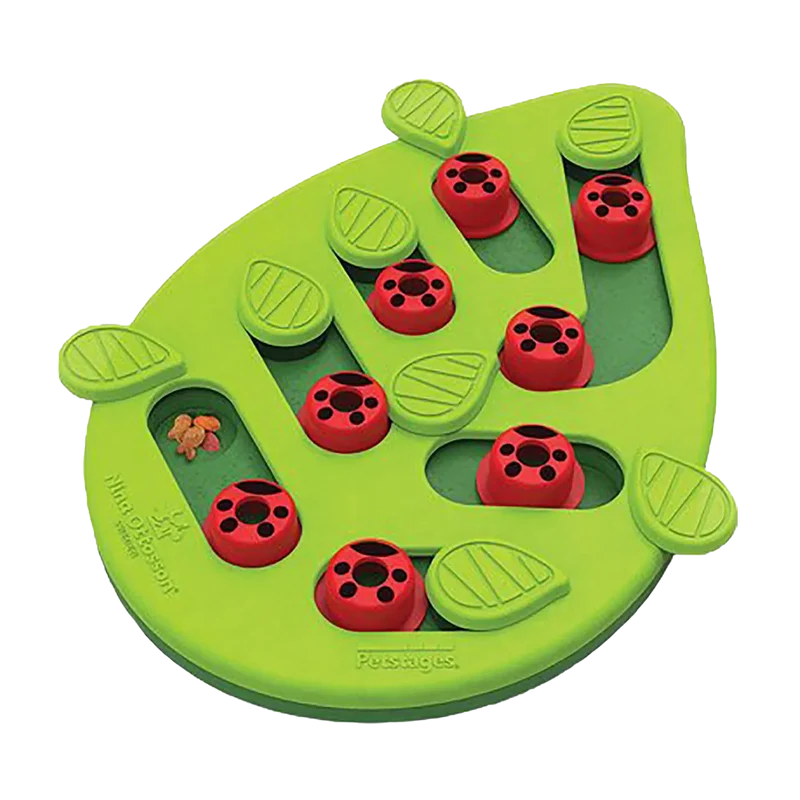 Petstages Cat Puzzle & Play Buggin Out