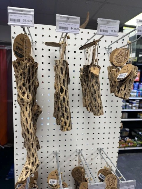 Bois Cholla - Large 4 Pouces - 1'' 1/4 à 1'' 1/2 Diamètre