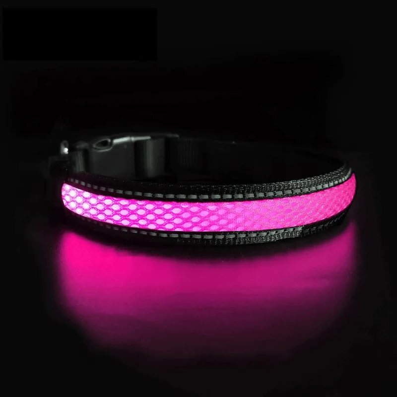 LED Säkerhetshalsband Hund – Synlig i Mörker & Regn