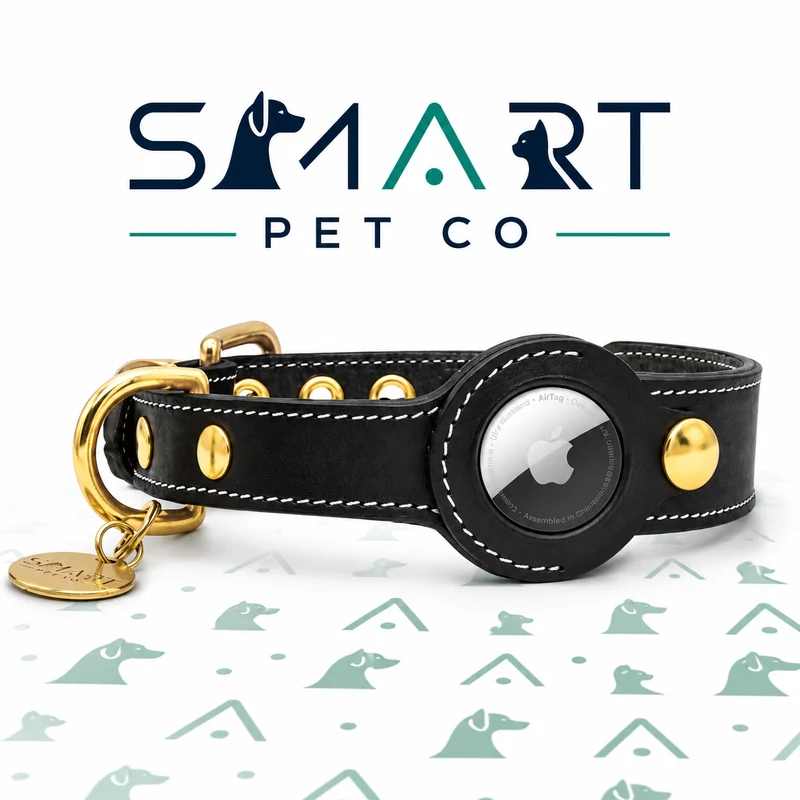 Luxury Leather Dog Collar with AirTag Pocket – Black | S, M & L