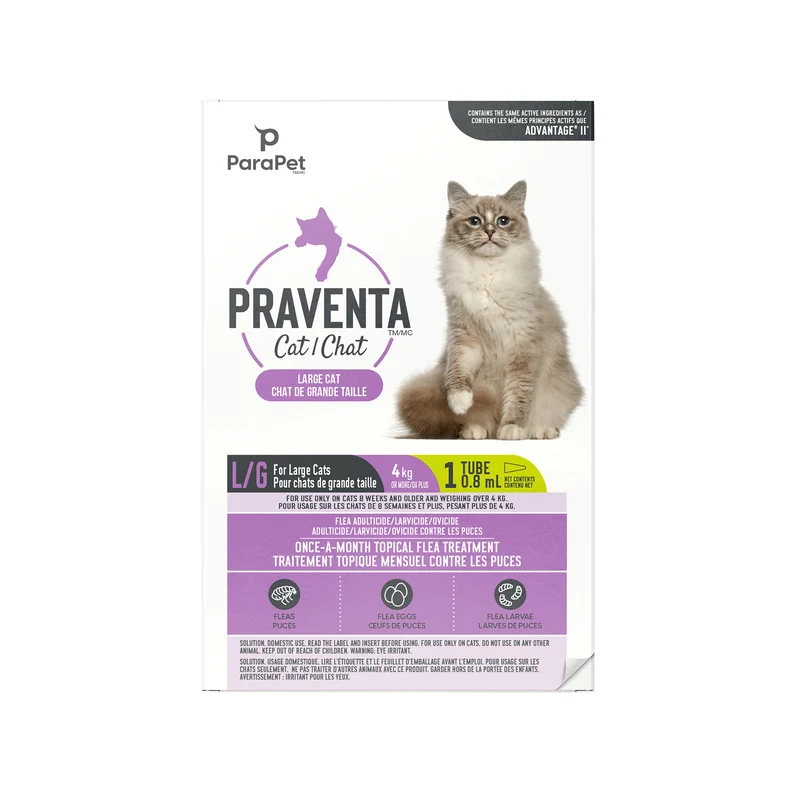 Traitement Parapet Praventa, chats de grande taille, 1 tube