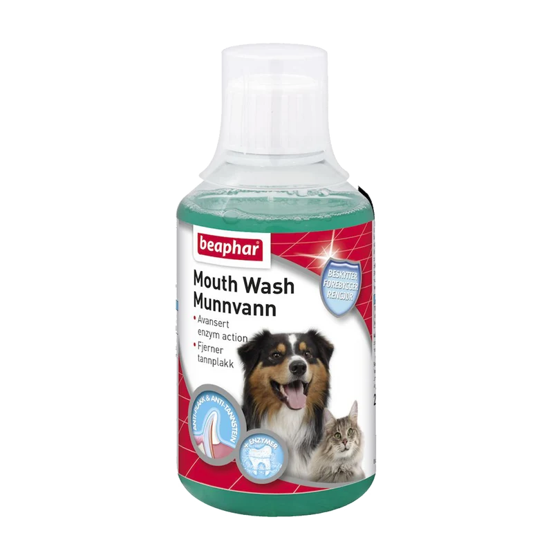 No Love Spray Hund