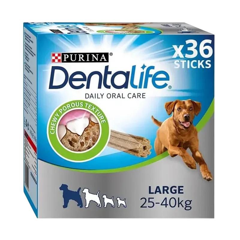Dentalife Large 4 ST - 142 G
