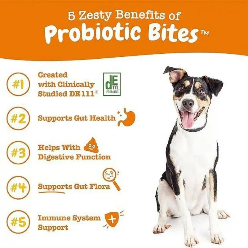 Probiotic Chewable Tablets for Dogs & Cats — 315g | Gut Health Support