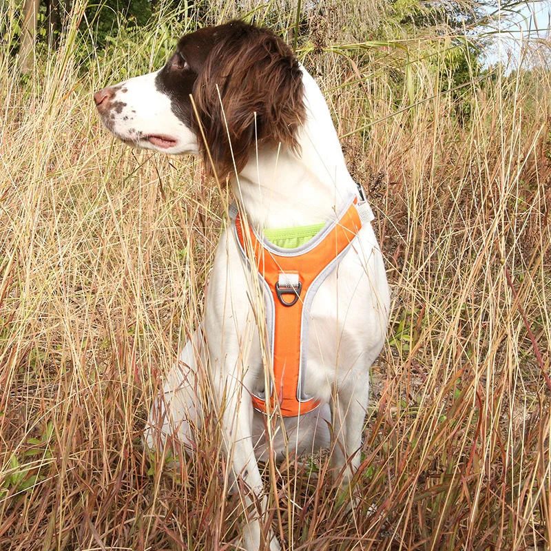 Adjustable Dog Chest Harness & Leash – Outdoor Trekking Back Strap for Large Dogs