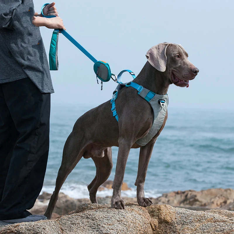 Large dog harness with a storage bag/pouch