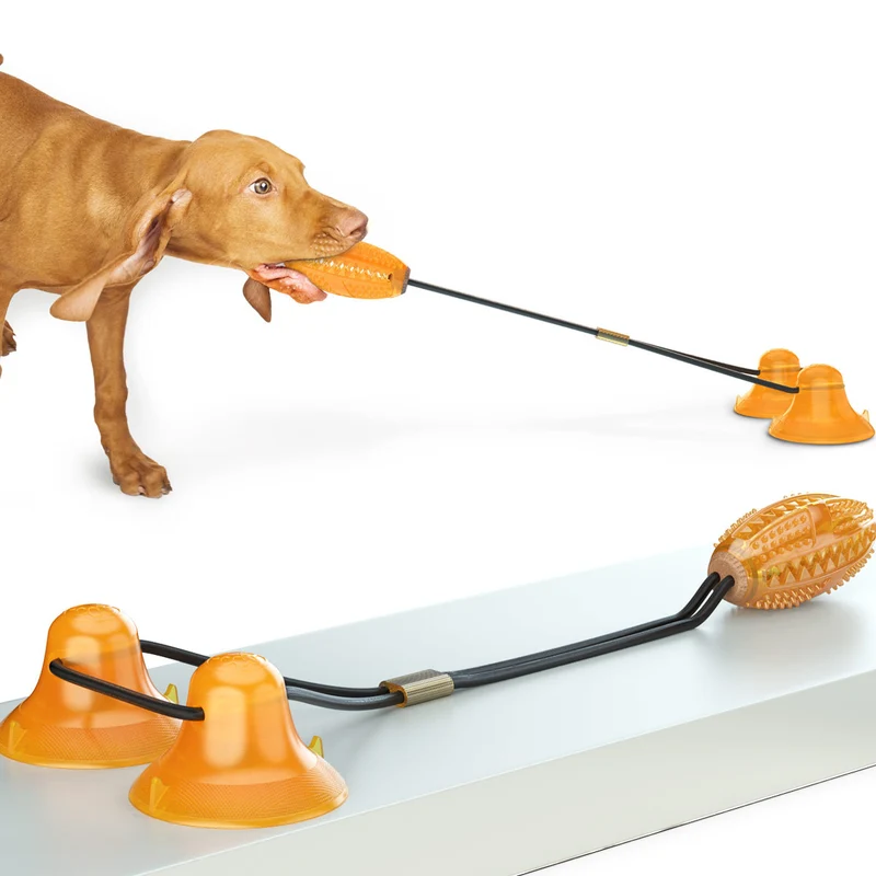 Dog & Cat Molar Bite Toy – Durable Teeth Cleaning Chew Toy