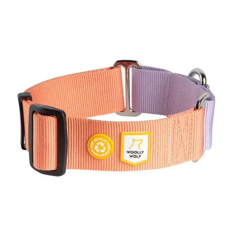 Woolly Wolf Color Block Martingale Hundhalsband