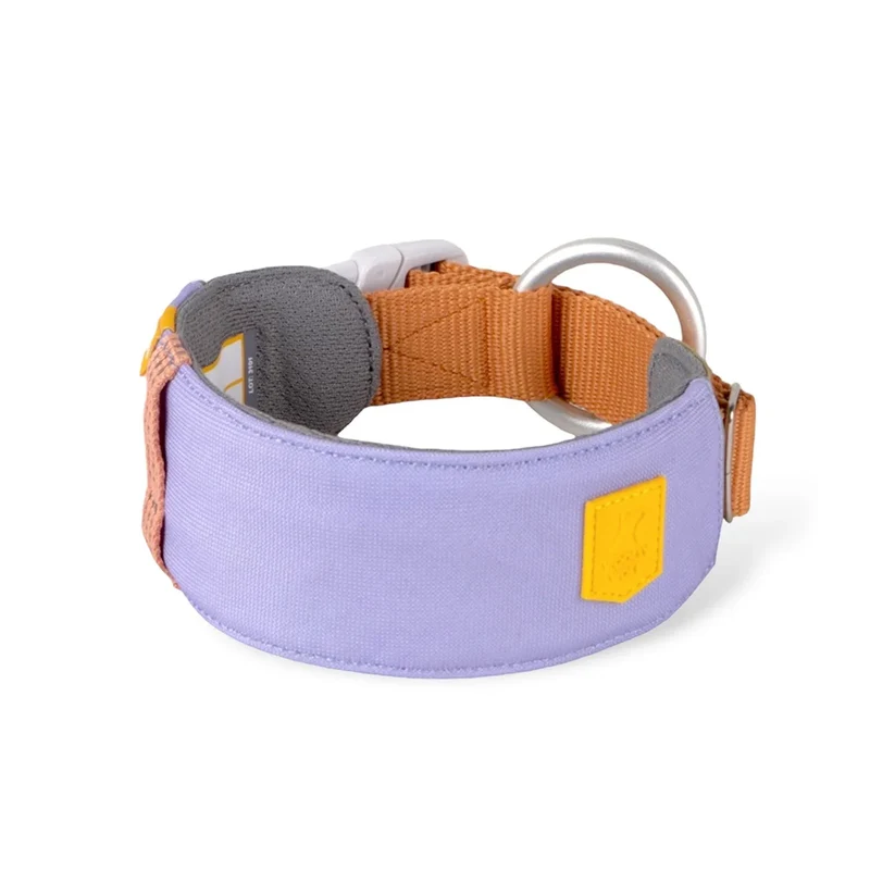 Alpha 360 Hundhalsband