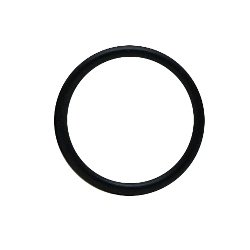 Bague d'étanchéité pour filtres AquaClear 20/30/50, paquet de 3