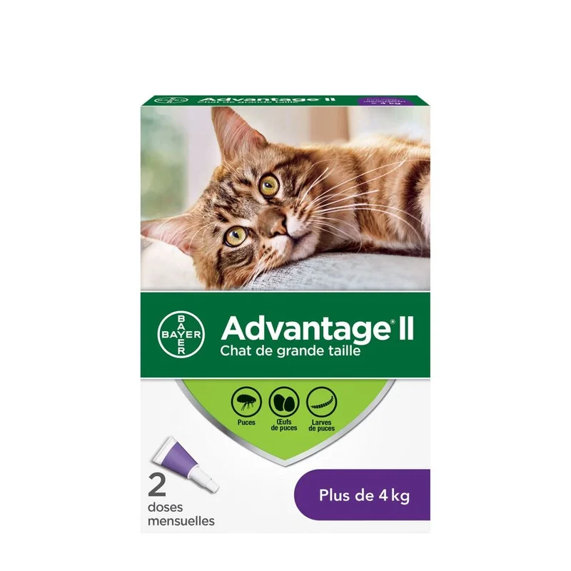 Advantage II pour Chats (plus de 4 kg) 2 doses