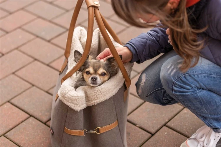 Pet Carrier Rachel