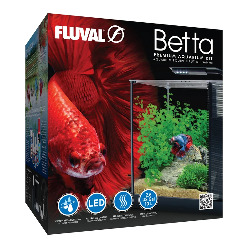 Aquarium équipé Betta haut de gamme, 10 L (2,6 gal US)