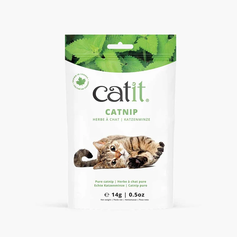 Herbe à chat pure Catit
