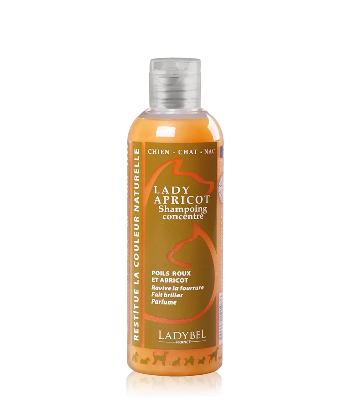 Lady Apricot Shampoo