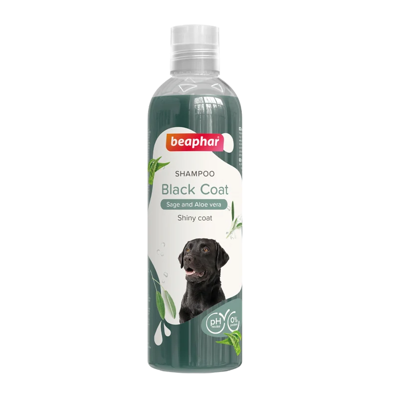 Schampo Svart - 250 ML