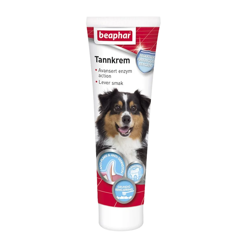 Tandkräm med Enzymer Hund & Katt