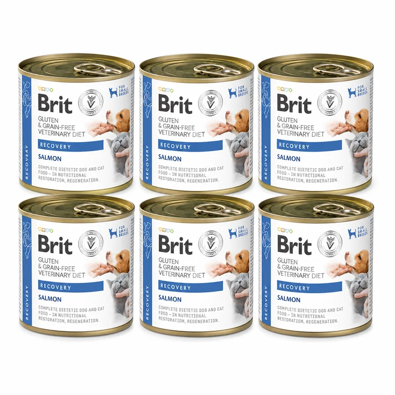 Brit Veterinary Diet Recovery Salmon för katter och hundar 6 x 200 g
