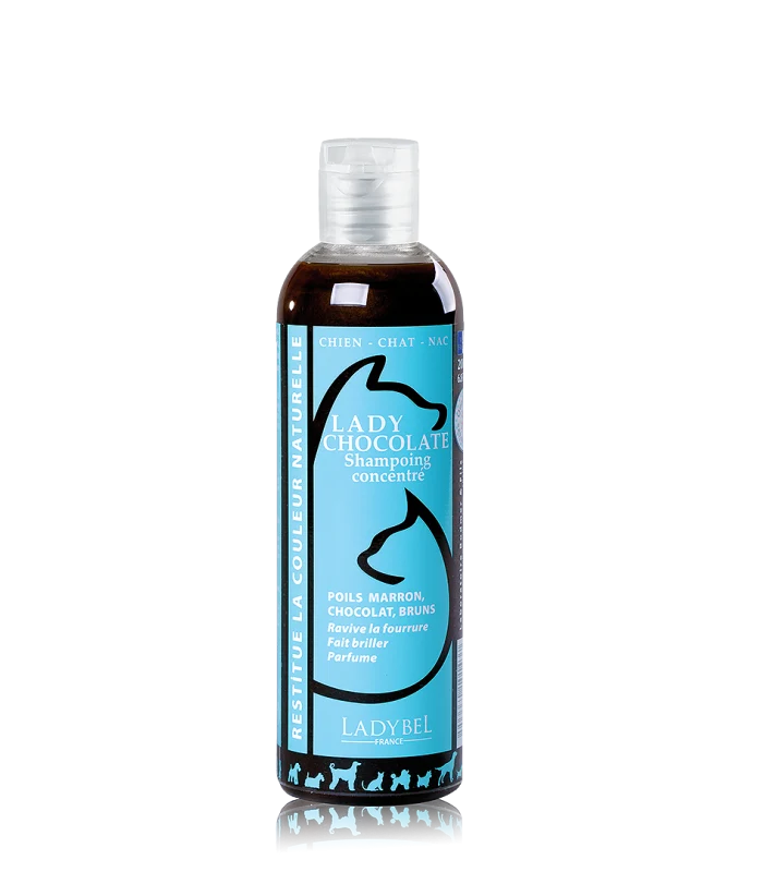 Lady Chocolate Shampoo
