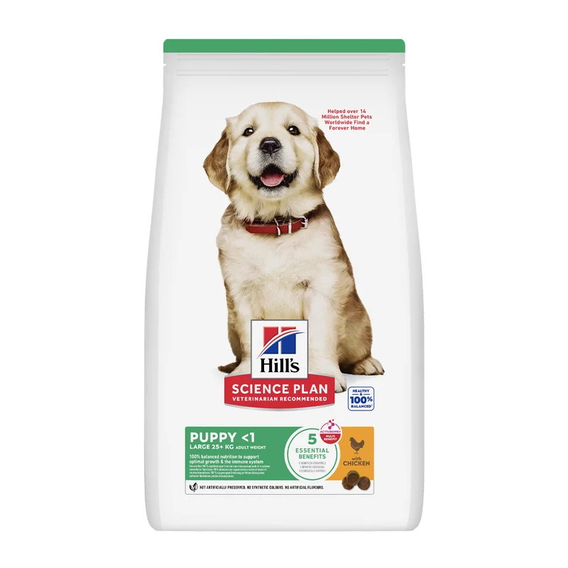 Science Plan Puppy Large Breed Chicken - 12 KG