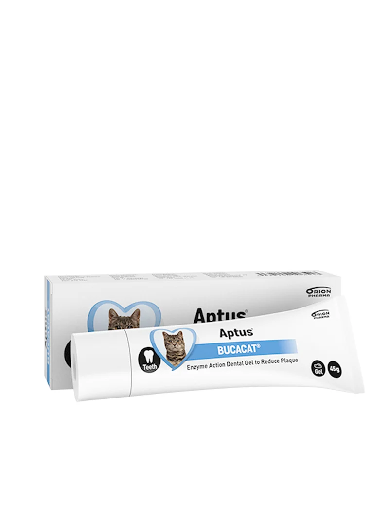 Aptus Bucacat tandgel