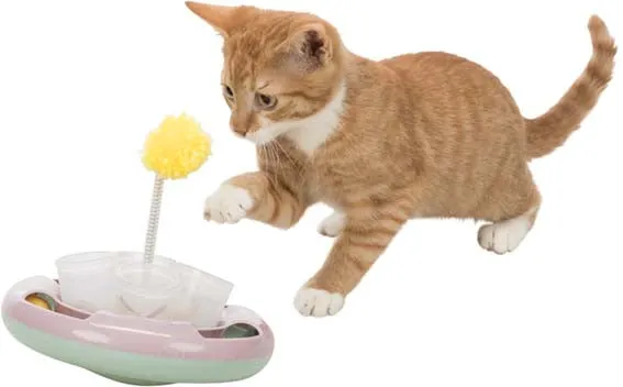 Junior Snack & Play