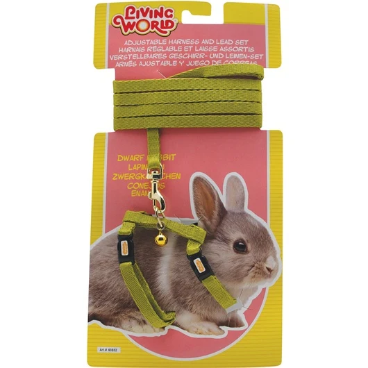 Ensemble laisse et harnais réglable Living World pour lapin nain, laisse de 1,2 m (4 pi)