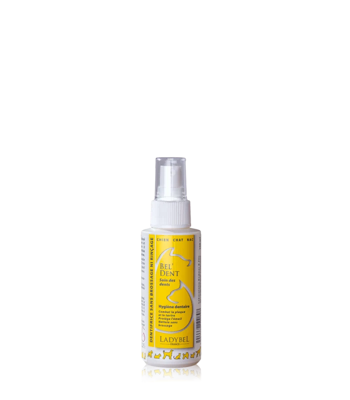 Ladybel Bel Dent Liquid Toothpaste