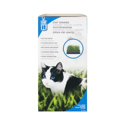 Herbe Catit pour chats, 85 g (3 oz)