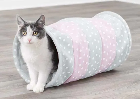 Cat Tunnel