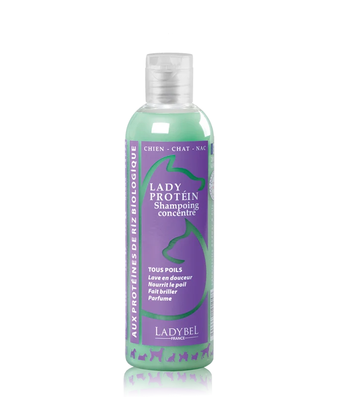 Lady Protein Shampoo