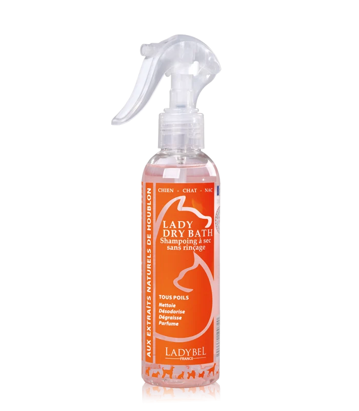 Lady Dry Bath Leave-in Shampoo Lotion