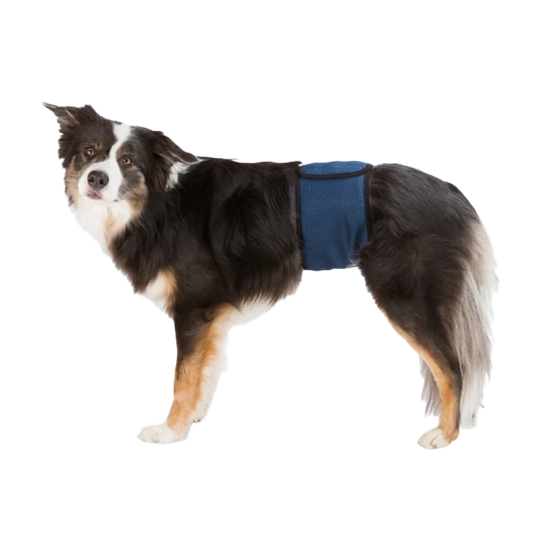Hanhundsskydd Mörkblå
