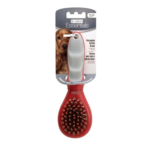 Brosse porc-épic à poils de nylon Essentials Le Salon, petite
