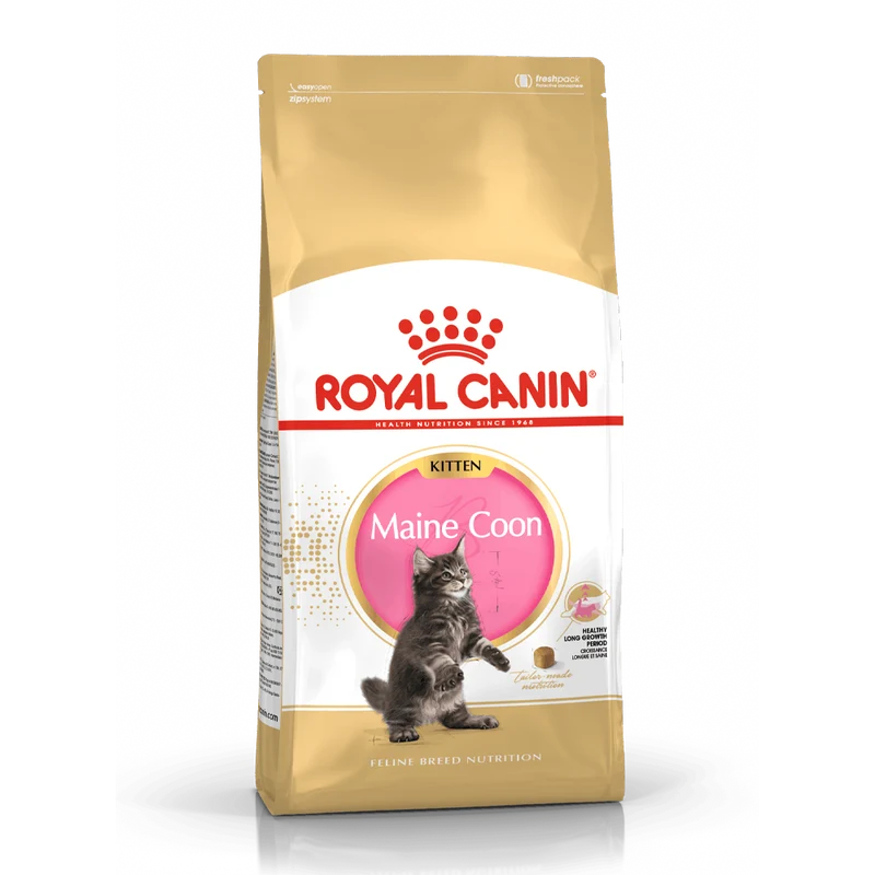 Royal Canin Maine Coon Kitten - 4 KG